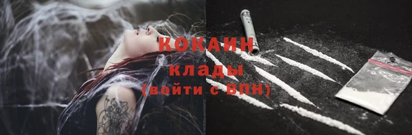 кокс Алексин